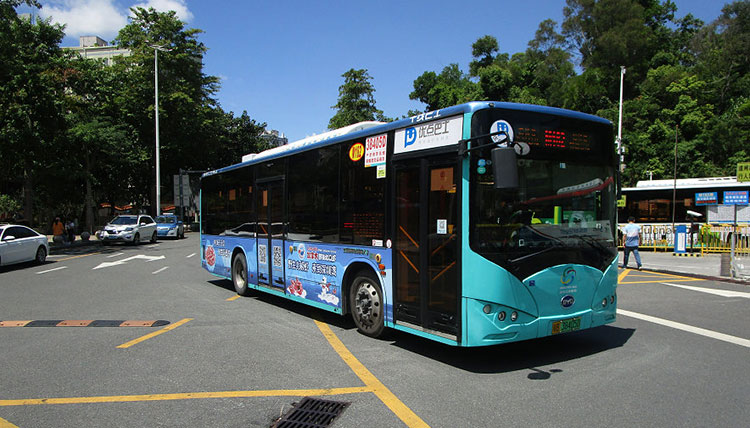 加拿大北極蝦深圳公交車廣告2